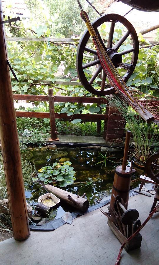 Casa Cosmin Pension Dobra Buitenkant foto